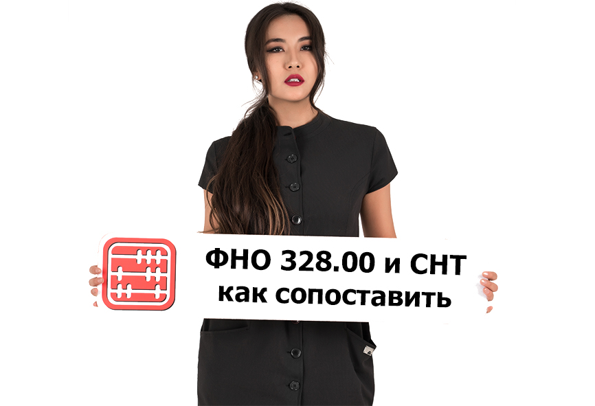 ФНО 328.00 и СНТ: как сопоставить. ФНО 328.00 и СНТ: как сопоставить.