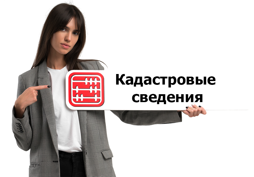 Кадастровая информация: где узнать сведения об участке в режиме онлайн Кадастровая информация: где узнать сведения об участке в режиме онлайн