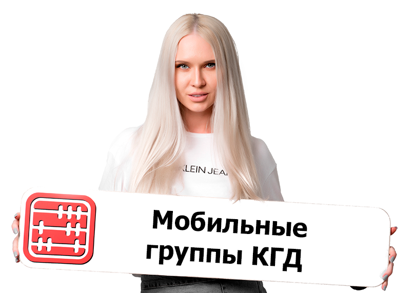 Таможенные мобильные группы: правила работы Таможенные мобильные группы: правила работы