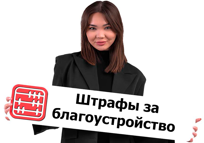 Штраф за благоустройство будут выписывать местные исполнительные органы