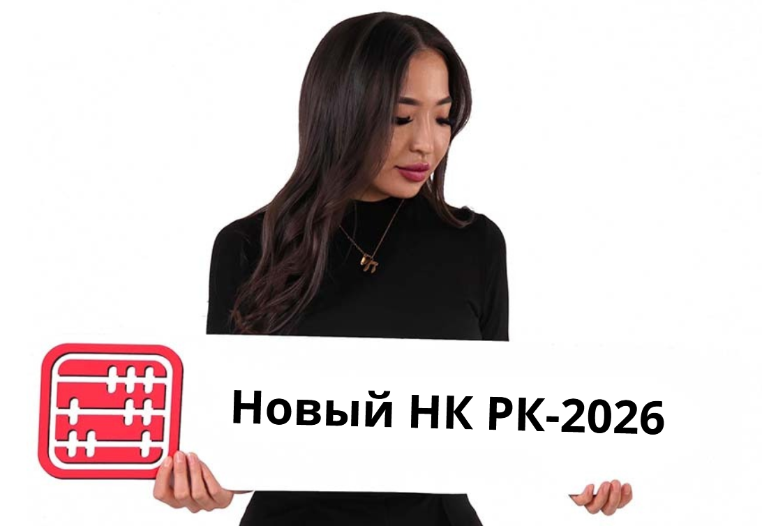 Сенаторы внесли поправки в новый Налоговый кодекс и вернули в Мажилис РК Сенаторы внесли поправки в новый Налоговый кодекс и вернули в Мажилис РК