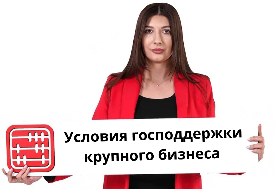 Господдержки крупного бизнеса не будет без закупок у МСБ Господдержки крупного бизнеса не будет без закупок у МСБ