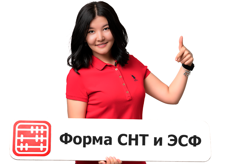 Новые формы СНТ и ЭСФ: изменения в нумерации и полях