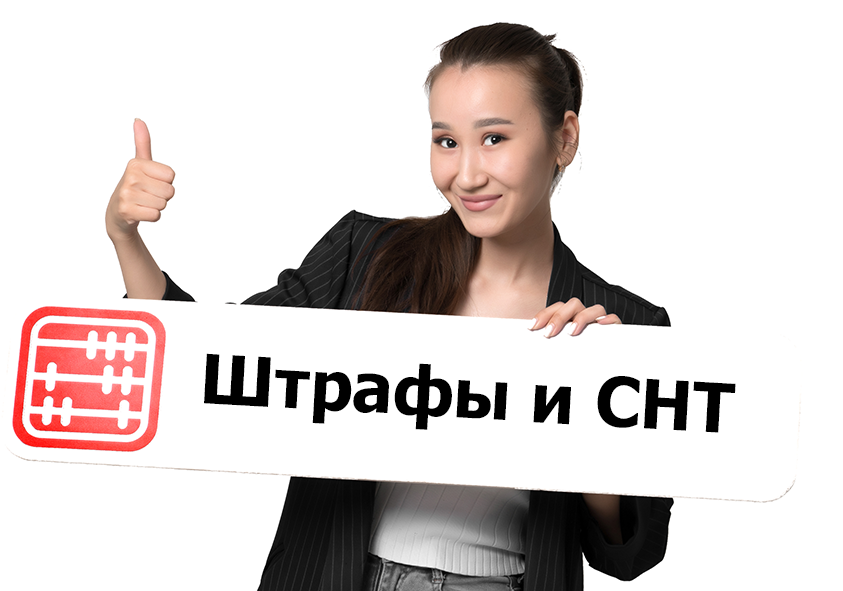 Штрафы за невыписку и ошибки в СНТ