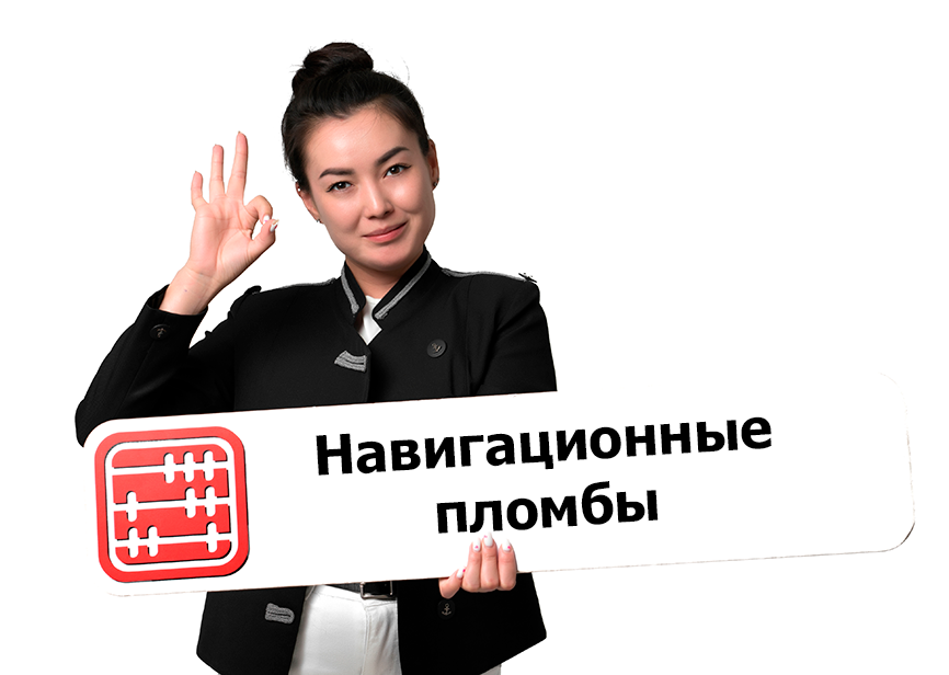 С 2026 года в ЕАЭС вводятся навигационные пломбы для отслеживания перевозок