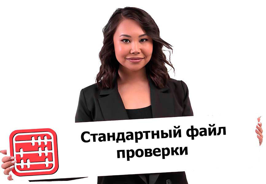 Доступ к данным бухучета при налоговой проверке Доступ к данным бухучета при налоговой проверке