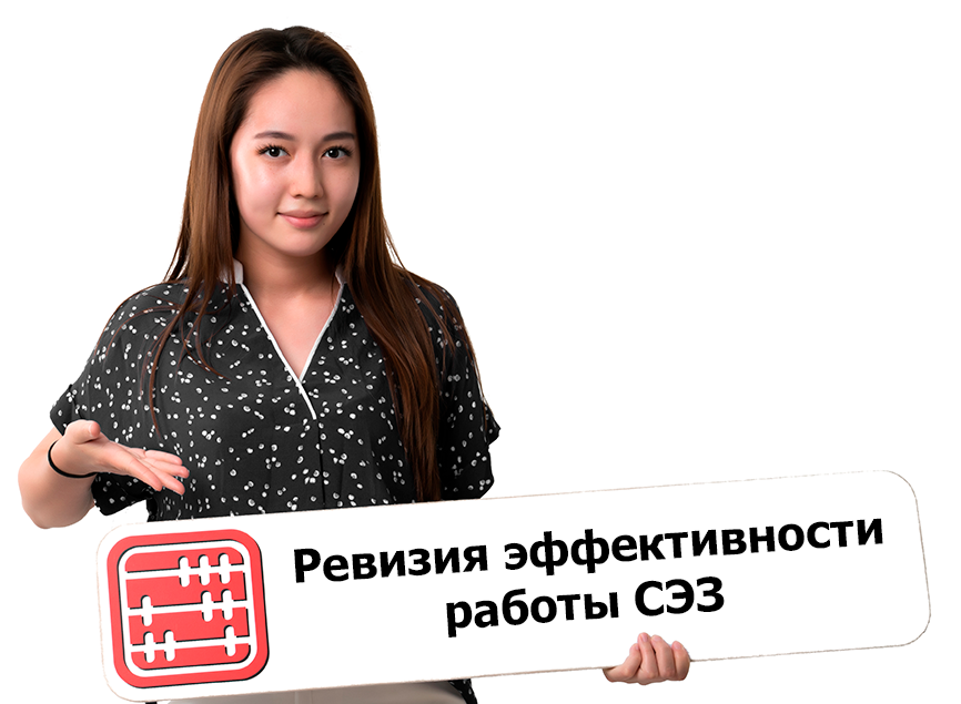 В работу СЭЗ внедрят новые механизмы