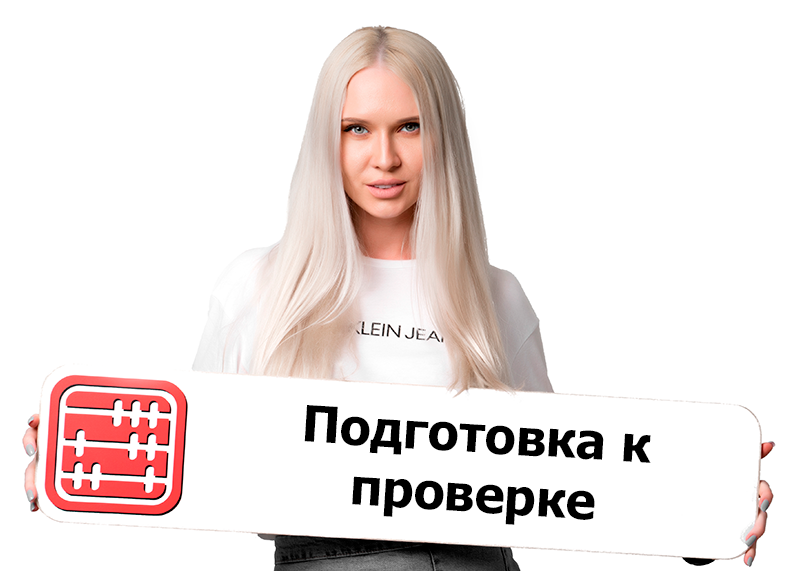 Рекомендации по подготовке к налоговой проверке