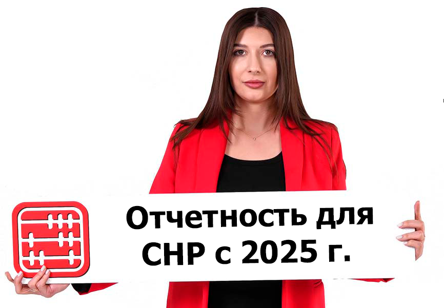 Для СНР будет введена одна годовая декларация с 2026 г.