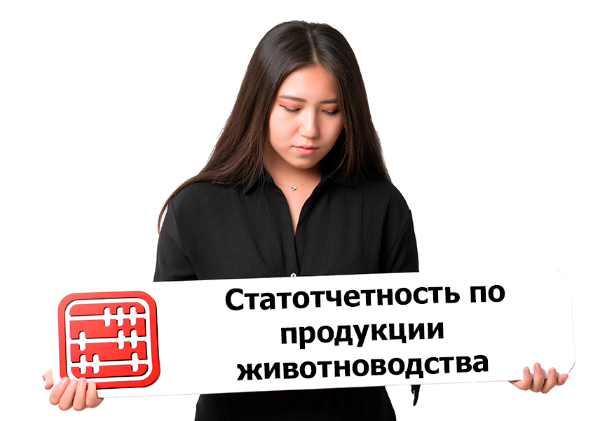 Кто сдает статотчет по форме А-008?