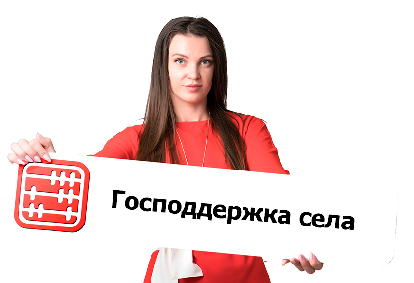 Господдержку для работы в селе могут распространить на IT-специалистов и работников архивов
