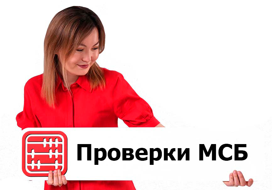 Внеплановые проверки субъектов МСБ: механизм пересмотрят до 1 июня 2026 года