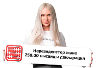 250.00 нысанын Қазақстан Республикасының резиденті емес тұлға қалай толтырады?