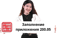 Приложение 200.05 — сдаётся в 4 квартале или при ликвидации