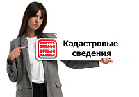 Кадастровая информация: где узнать сведения об участке в режиме онлайн